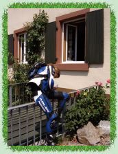 Schwarzwald - 4